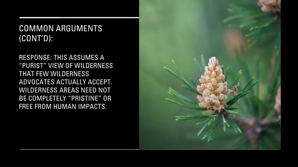 common arguments cont d 7