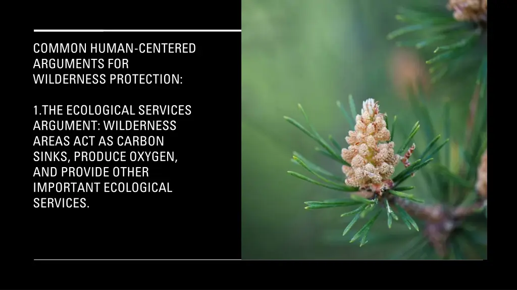 common human centered arguments for wilderness