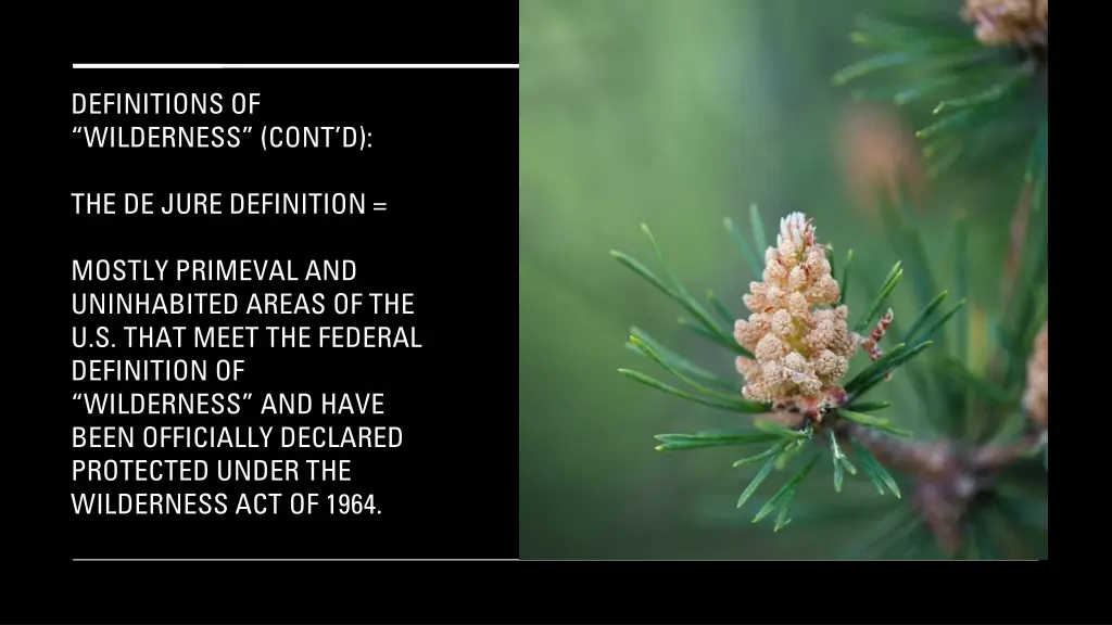 definitions of wilderness cont d 1