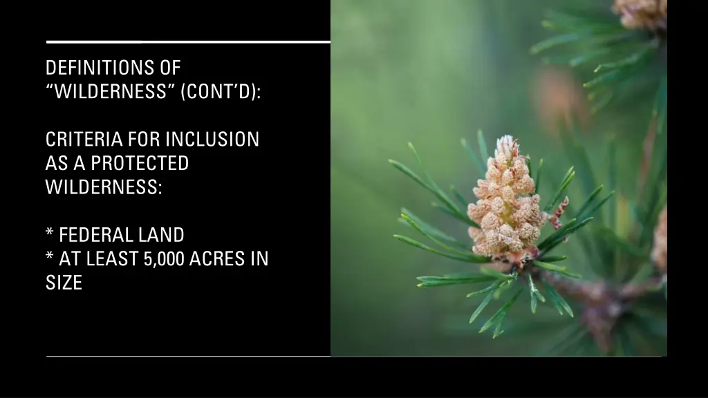 definitions of wilderness cont d 2