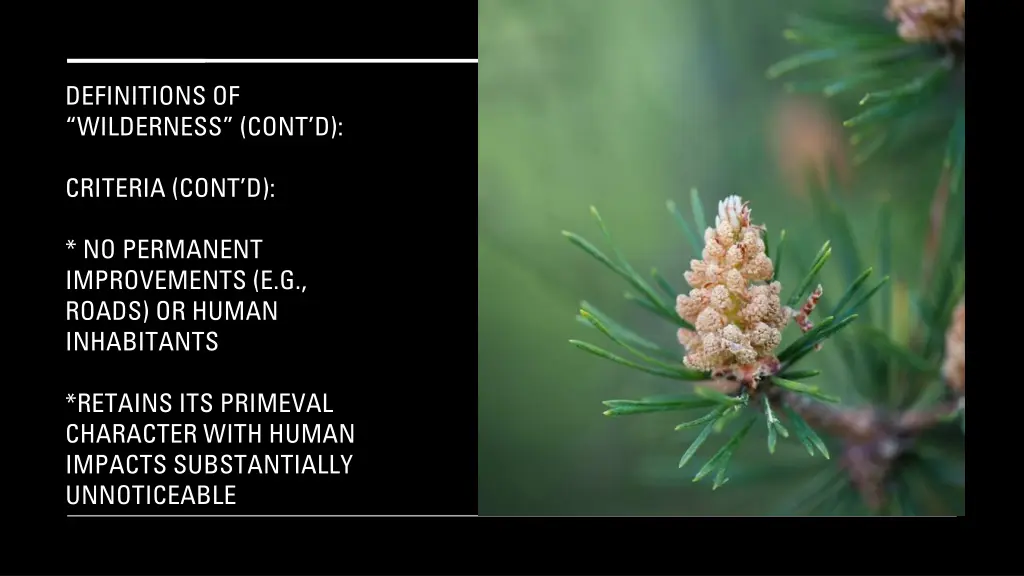 definitions of wilderness cont d 3