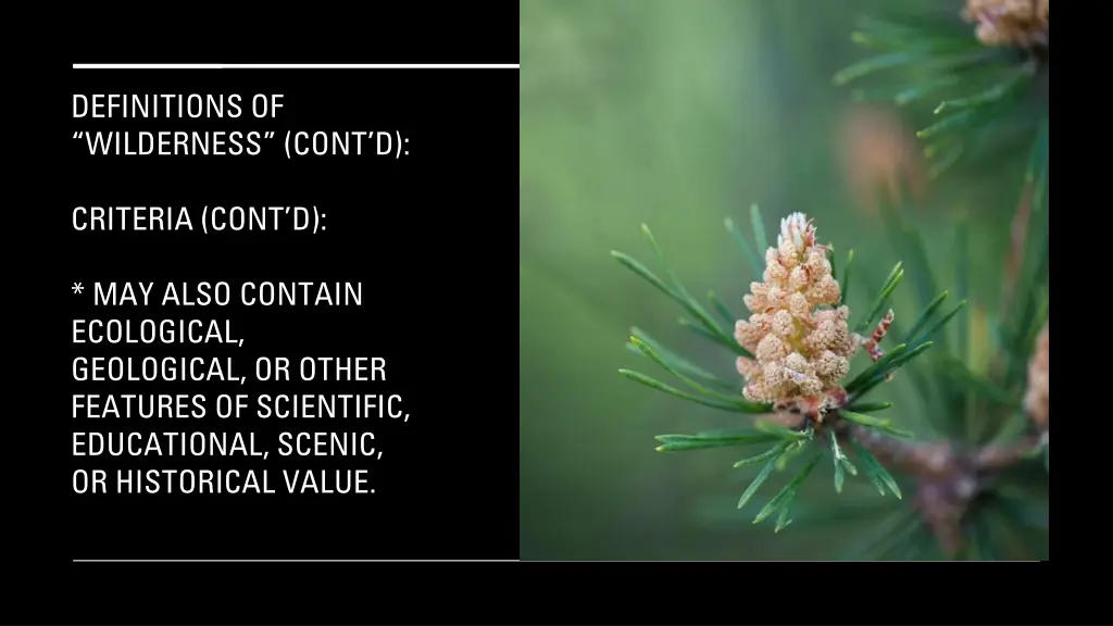 definitions of wilderness cont d 5