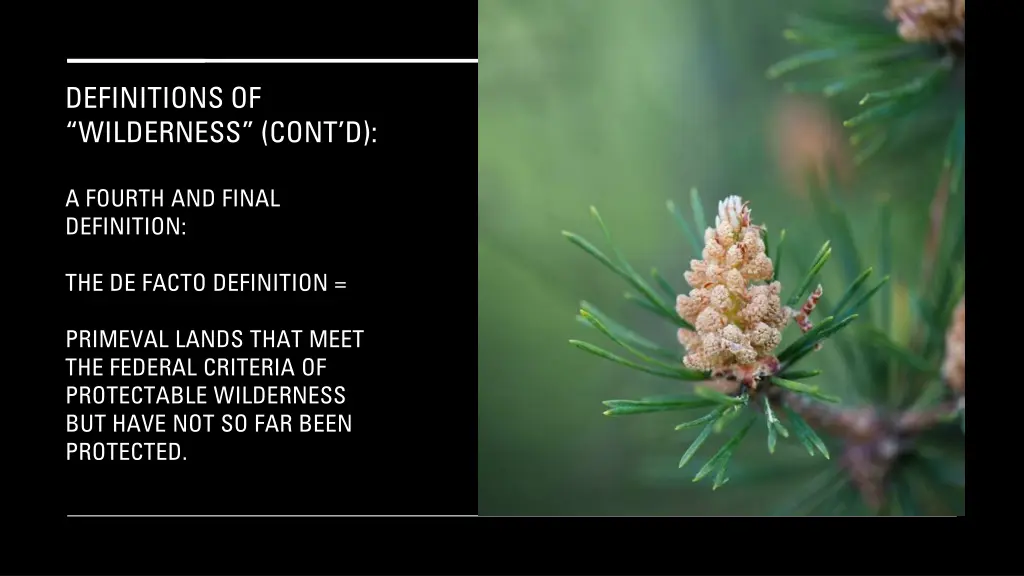 definitions of wilderness cont d 6