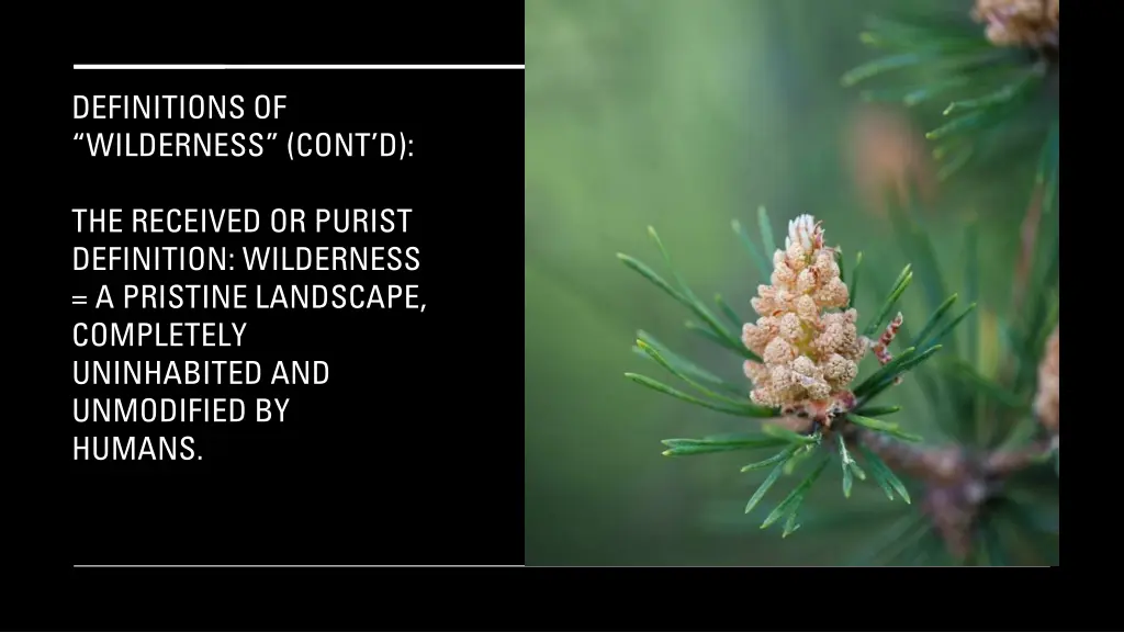 definitions of wilderness cont d