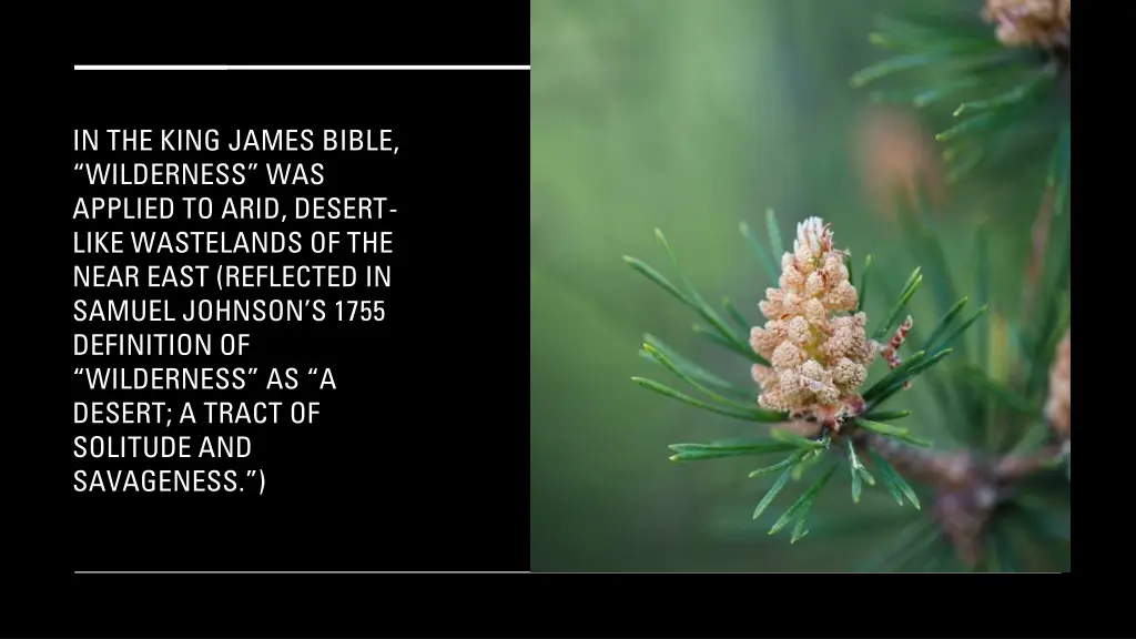 in the king james bible wilderness was applied