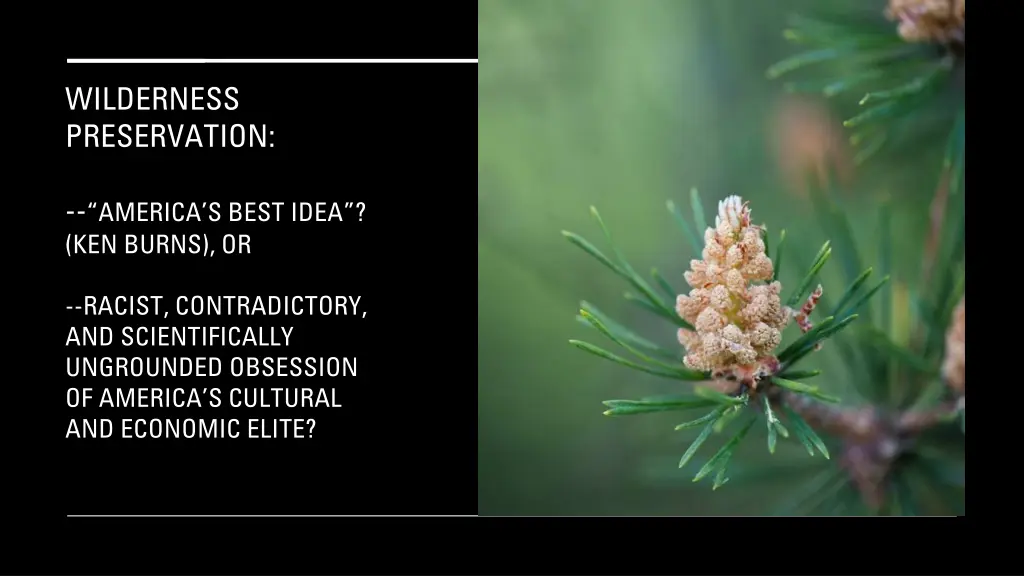 wilderness preservation