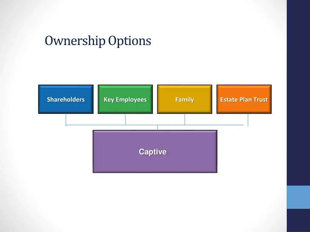ownership options