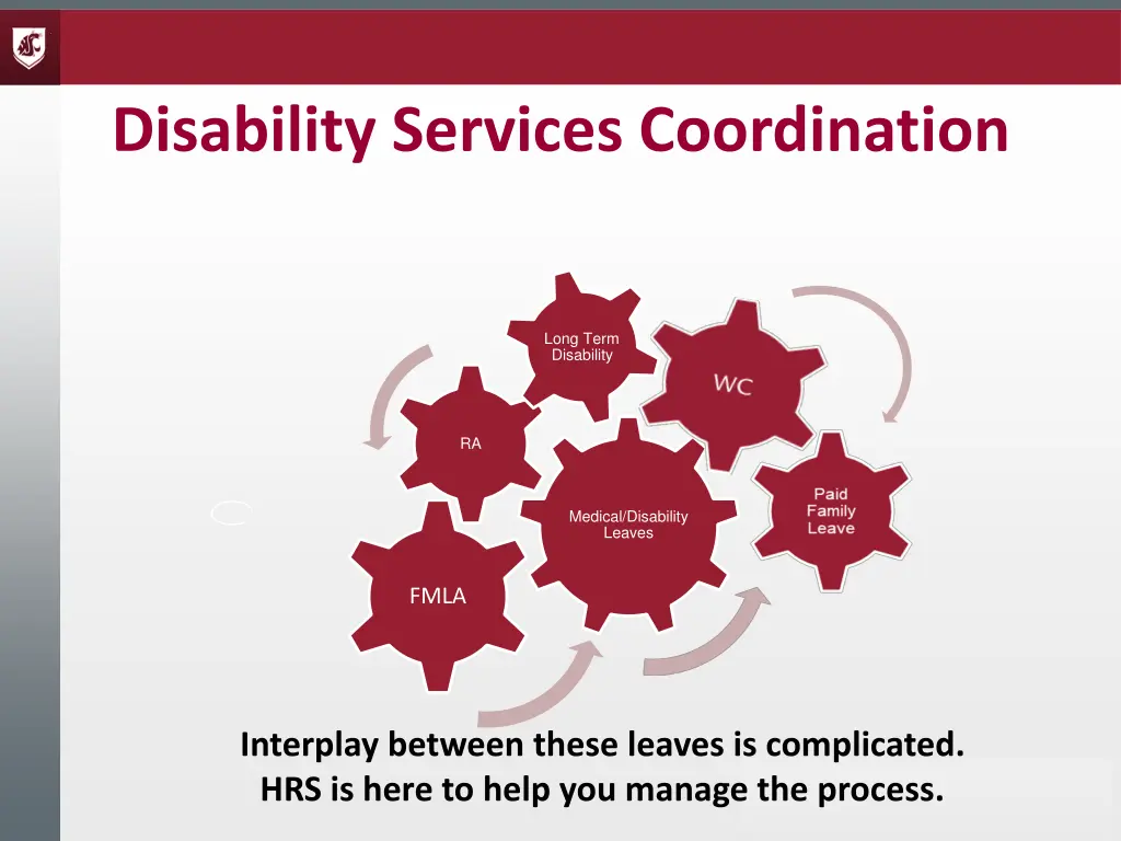 disability services coordination