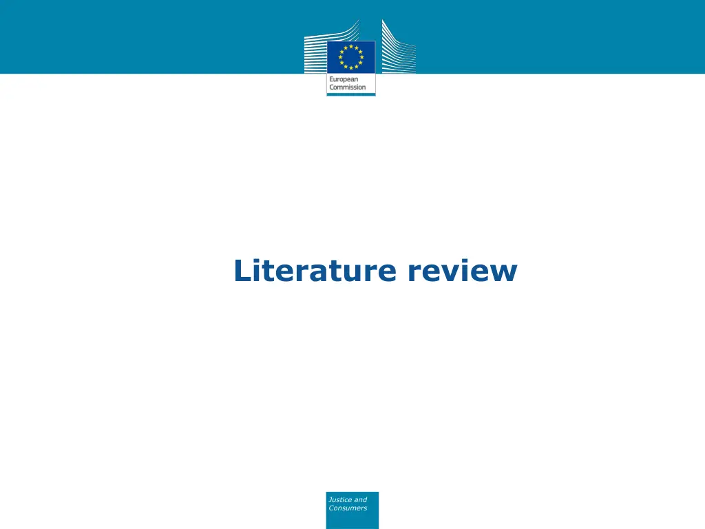 literature review