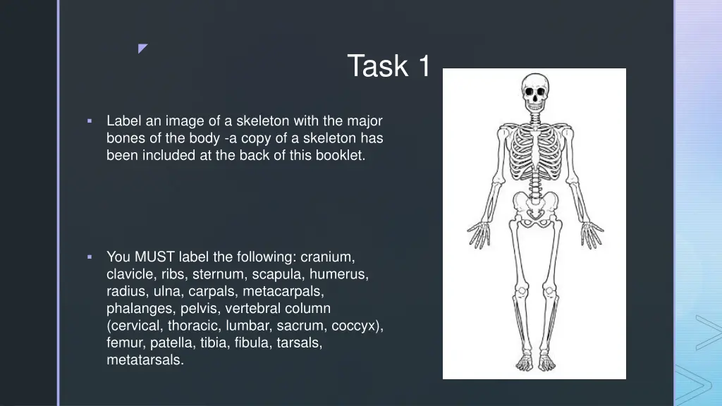 slide6
