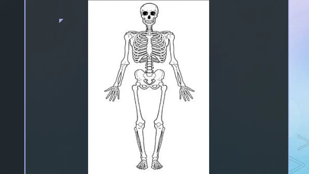 slide7
