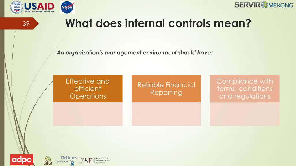 what does internal controls mean