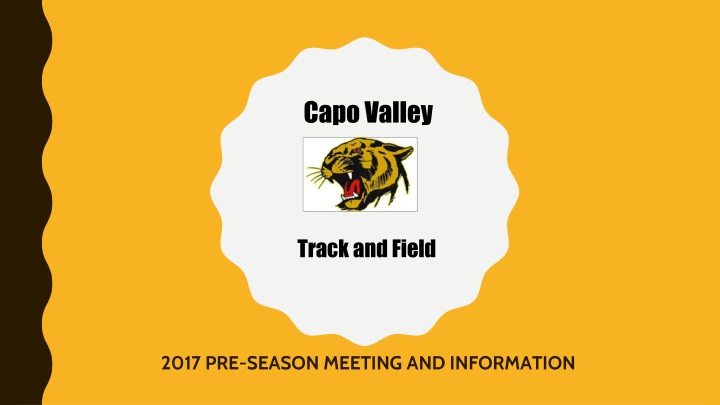 capo valley