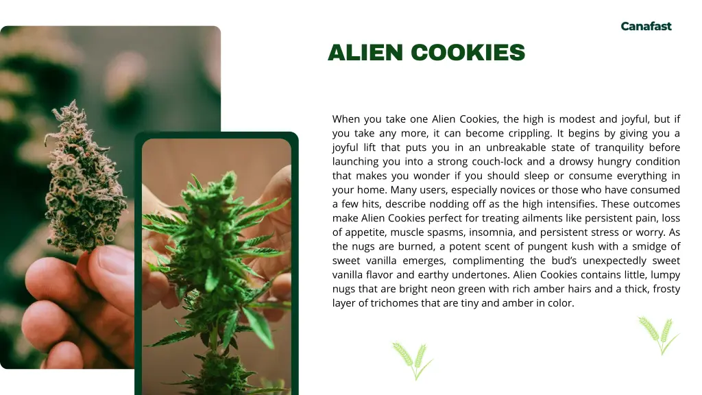 alien cookies