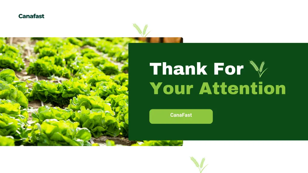 thank for your attention