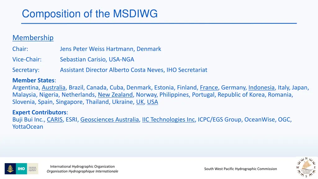 composition of the msdiwg