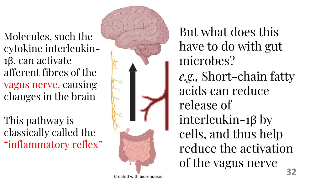 but what does this have to do with gut microbes
