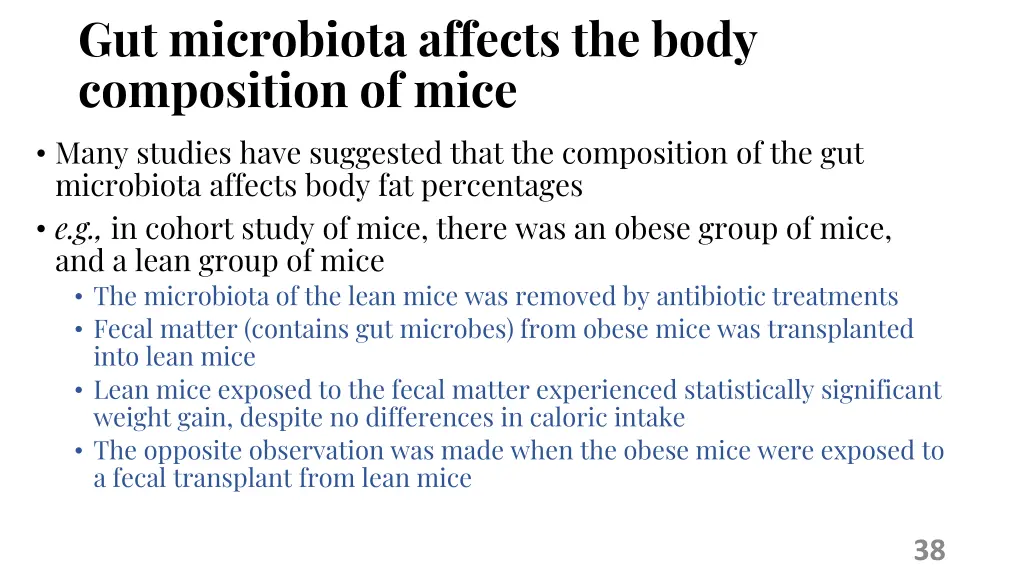 gut microbiota affects the body composition