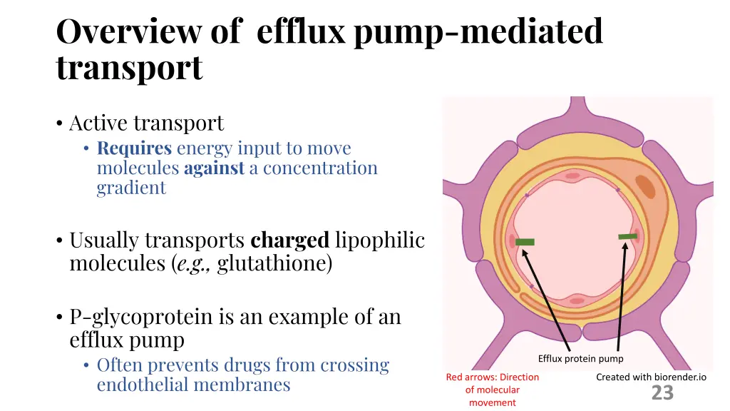overview of efflux pump mediated transport