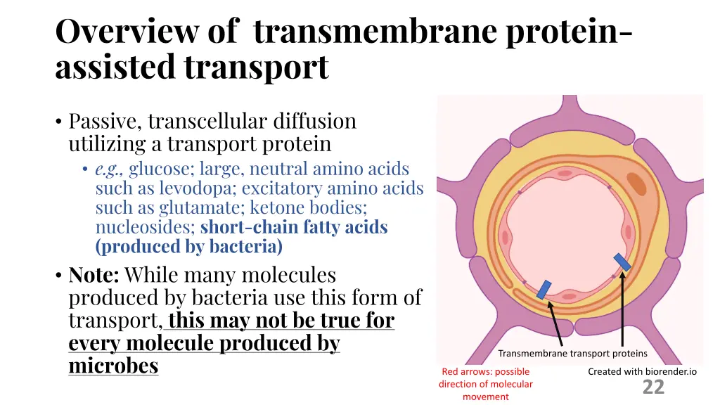 overview of transmembrane protein assisted
