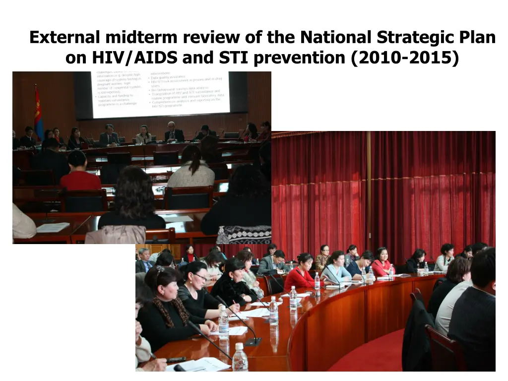 external midterm review of the national strategic
