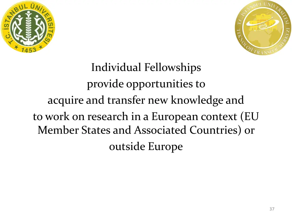 individual fellowships provide opportunities