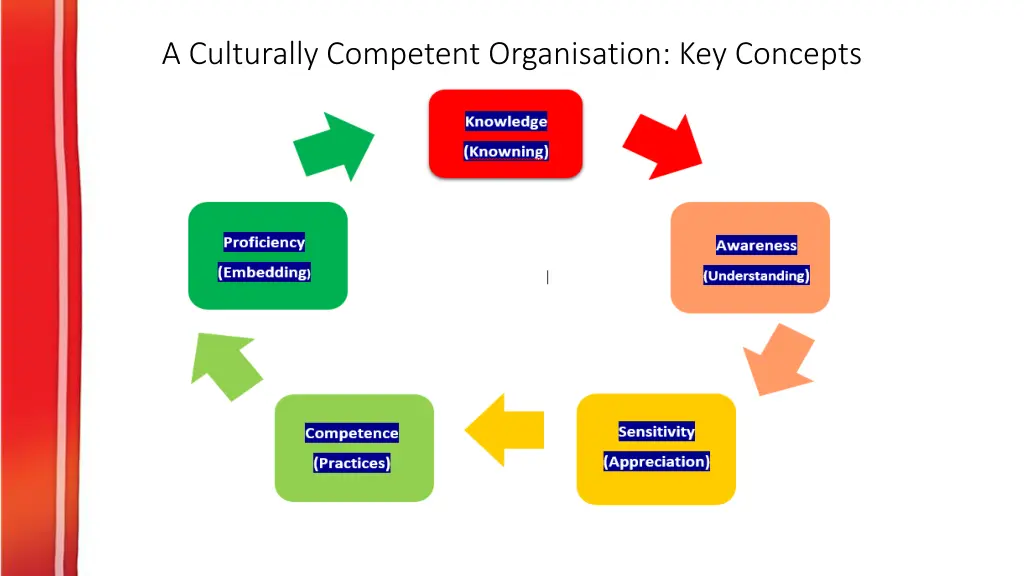 a culturally competent organisation key concepts