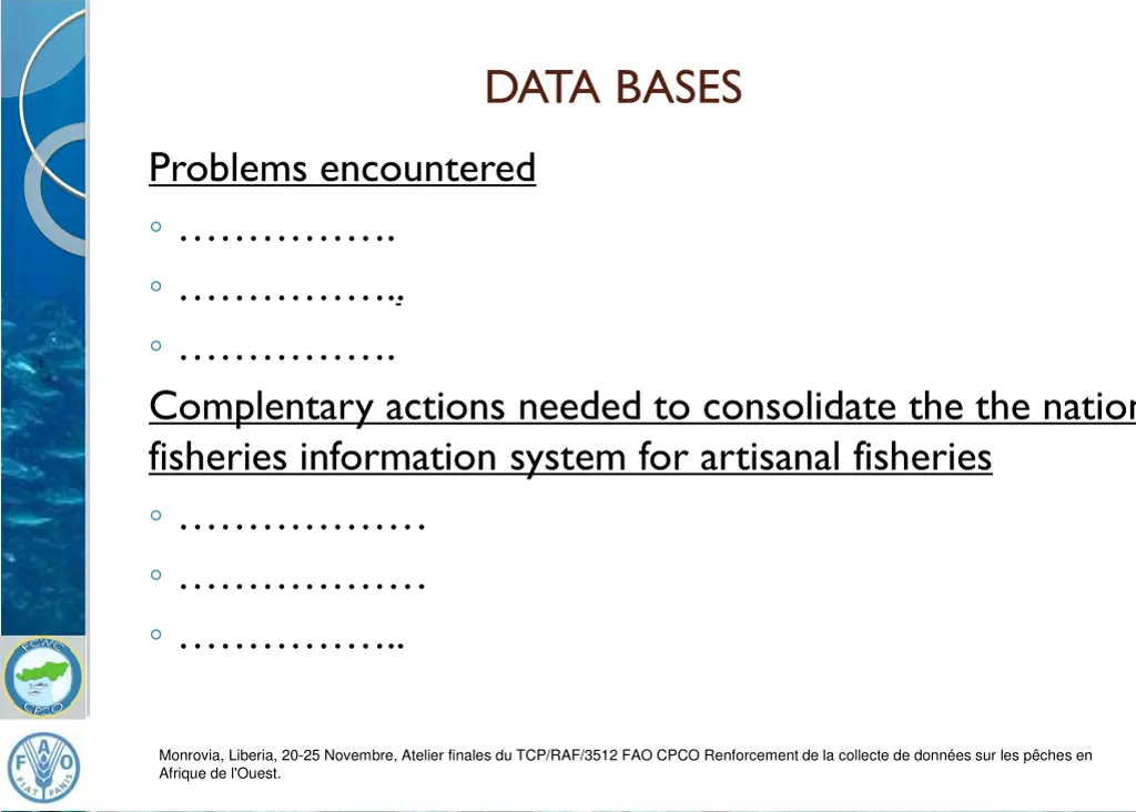 data bases 1