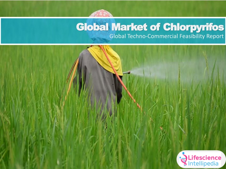 global market of global market of chlorpyrifos