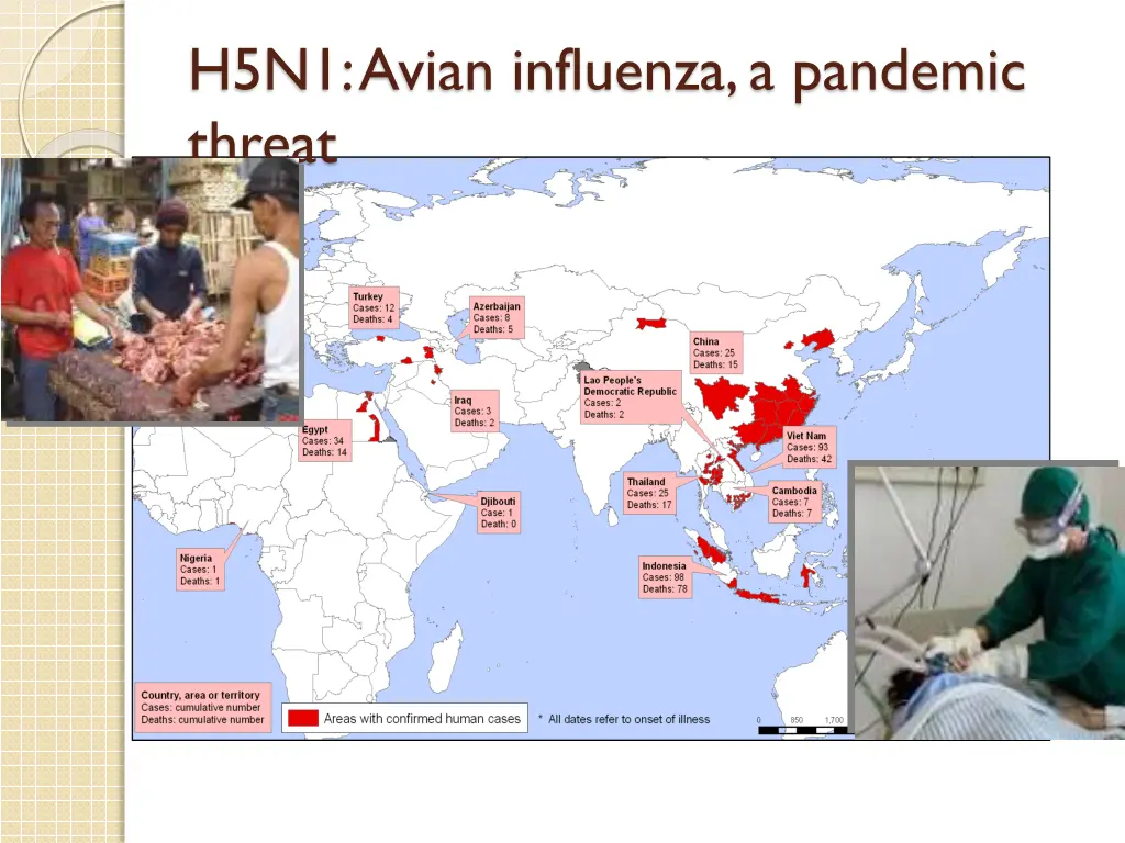 h5n1 avian influenza a pandemic threat