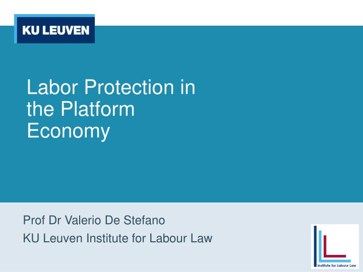 labor protection in the platform economy