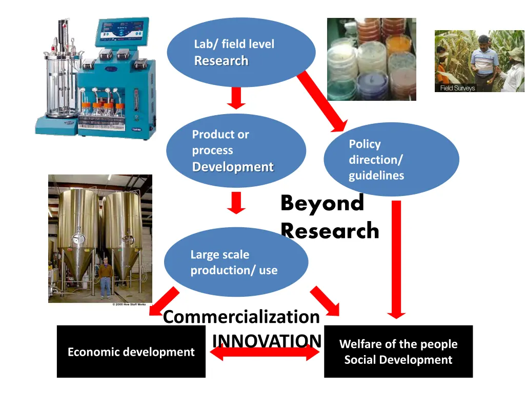 lab field level research
