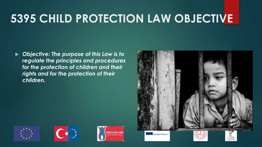 5395 child protection law objective