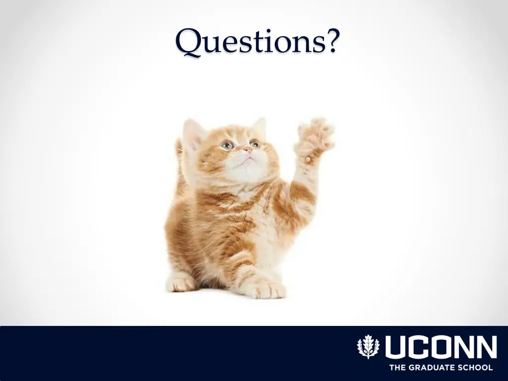 questions