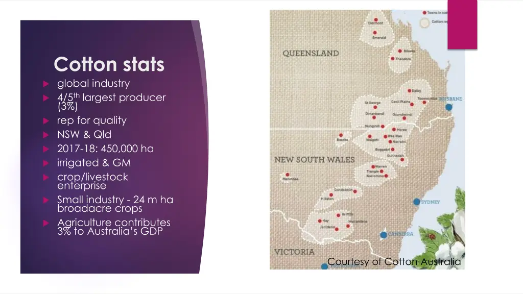 cotton stats global industry 4 5 th largest