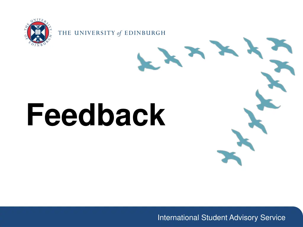 feedback