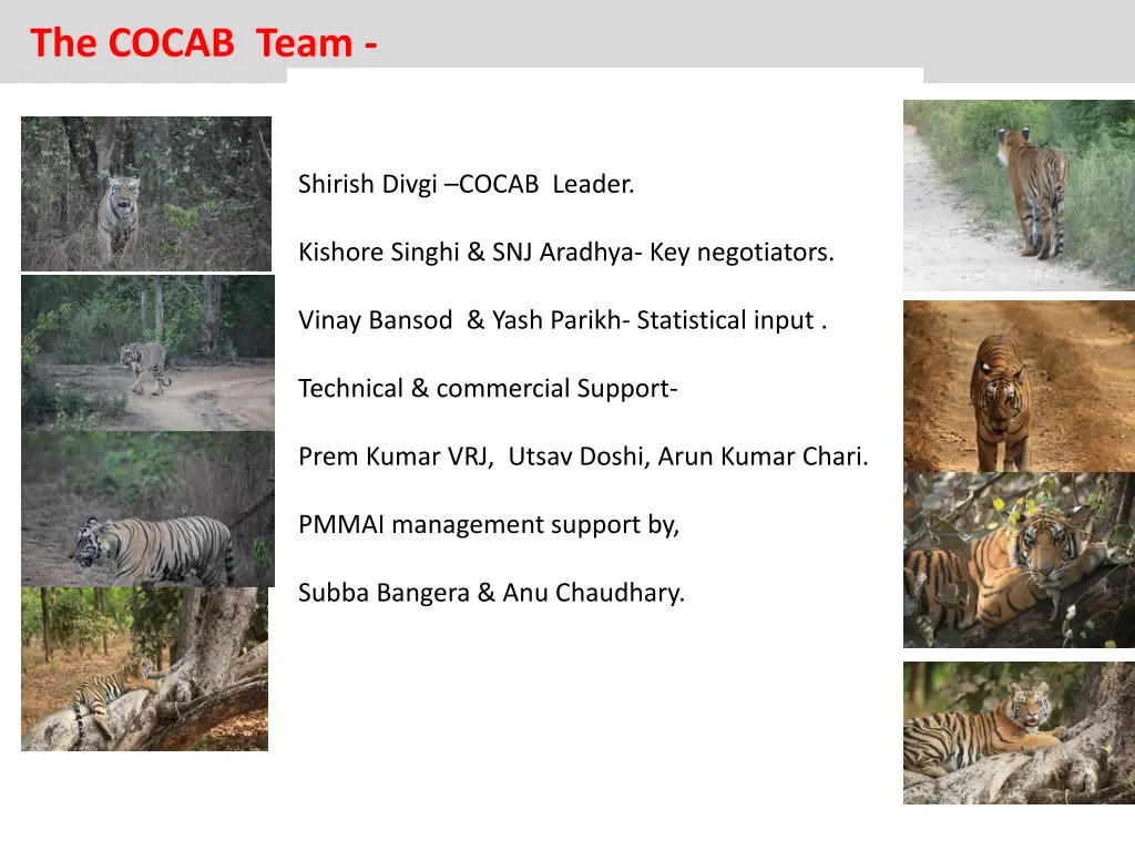 the cocab team
