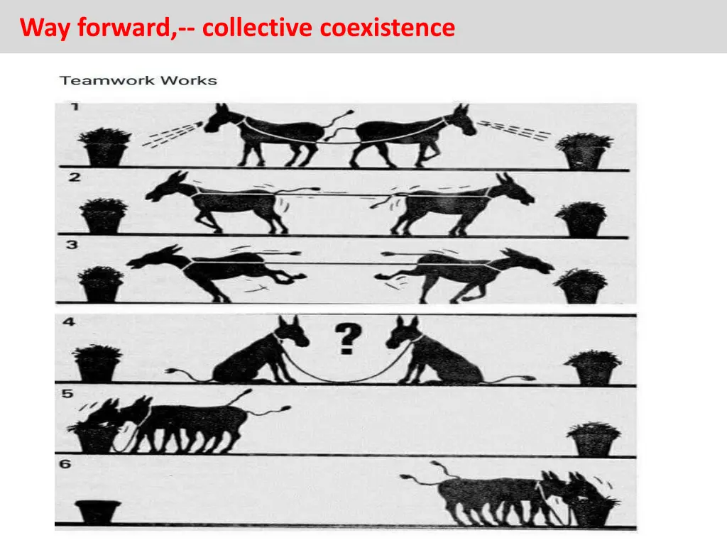 way forward collective coexistence