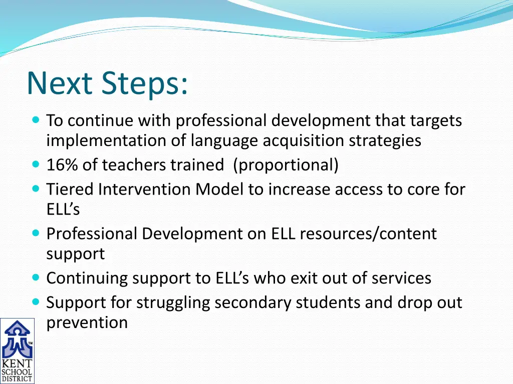 next steps to continue with professional