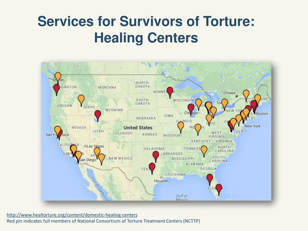 services for survivors of torture healing centers