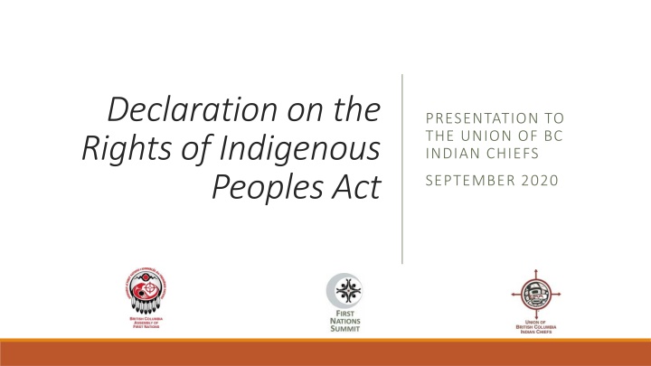 declaration on the rights of indigenous peoples