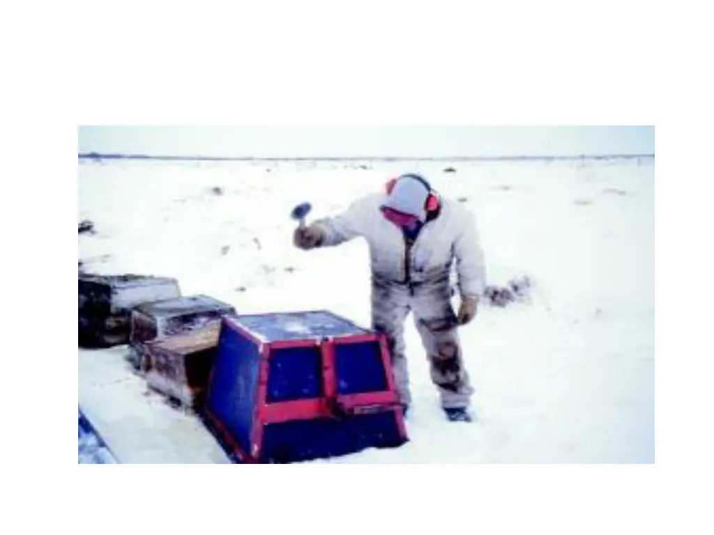 slide11