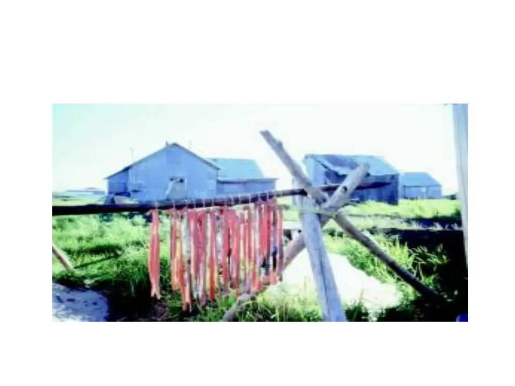 slide16