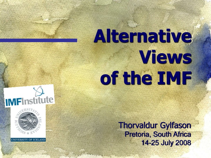 alternative views of the imf