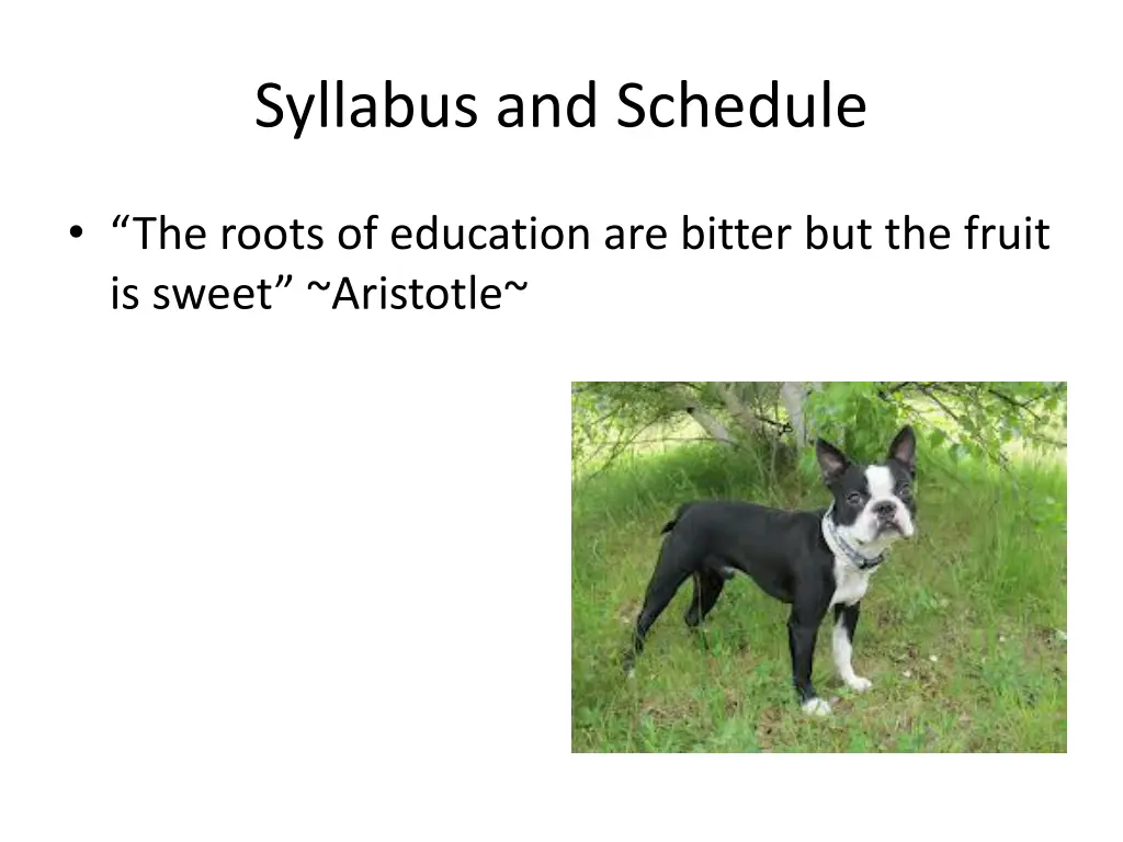 syllabus and schedule