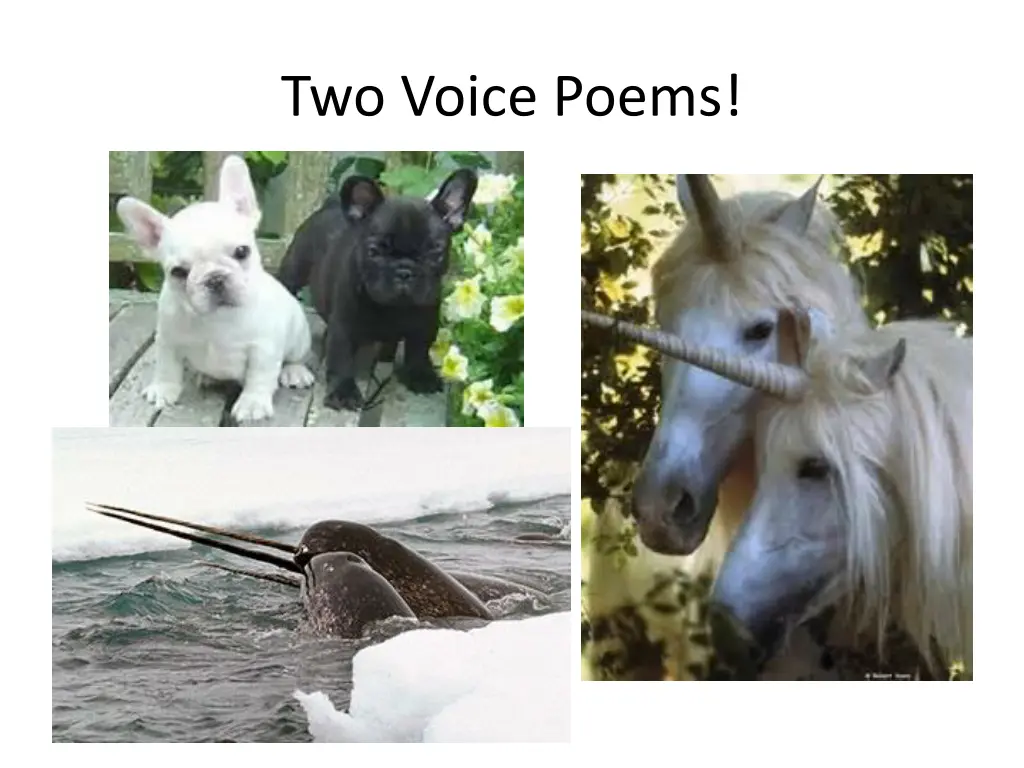 two voice poems