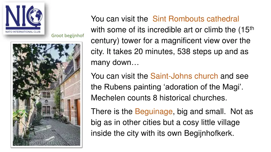 you can visit the sint rombouts cathedral with