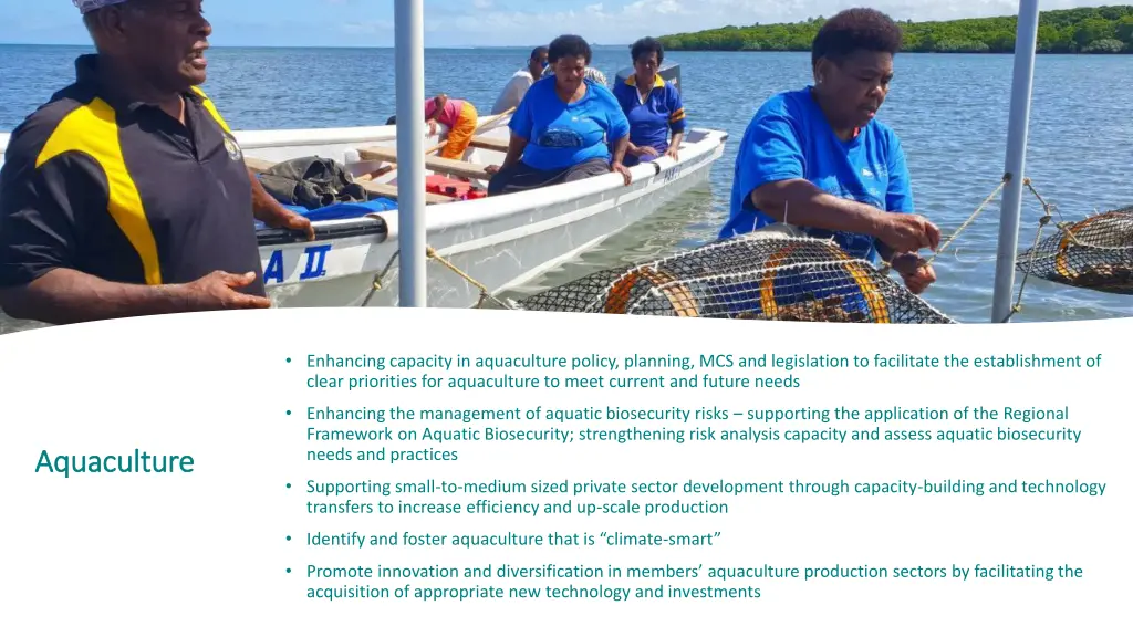 enhancing capacity in aquaculture policy planning