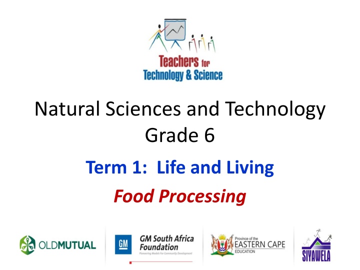natural sciences and technology grade 6