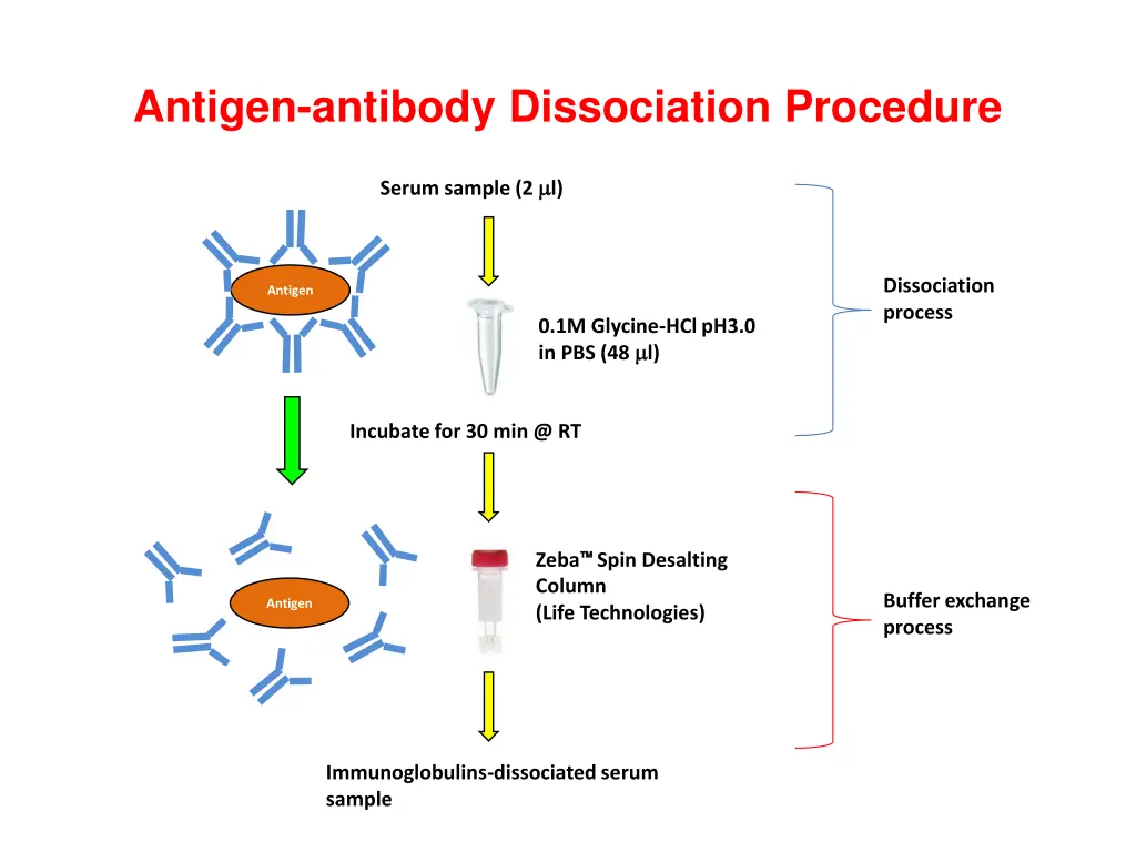 antigen antibody dissociation procedure